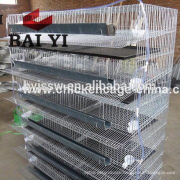 Trade Assurance 5 Tier or 6 Tier Quail Cage for Sale